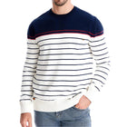 Men's Printed Crew Neck Sweater Ribbed Everyday Knit