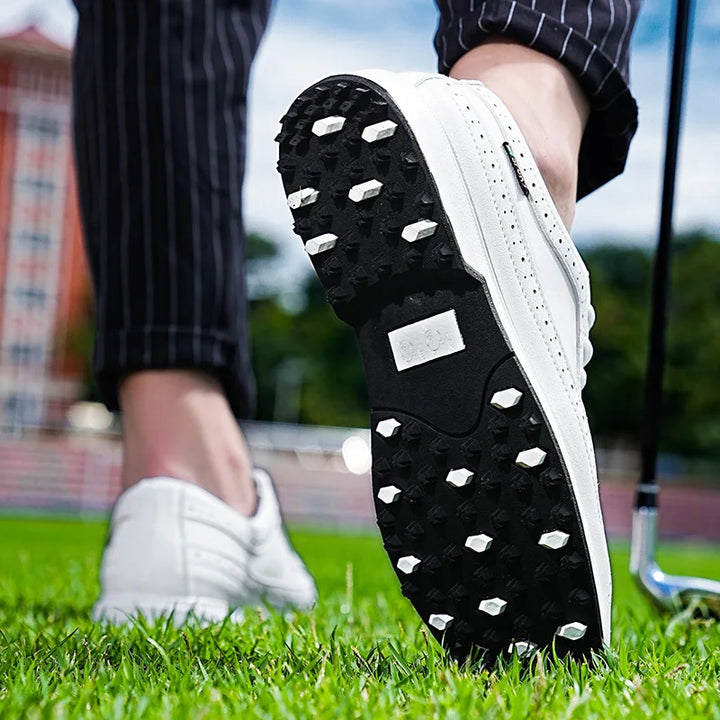 Cotto Broque Shoes