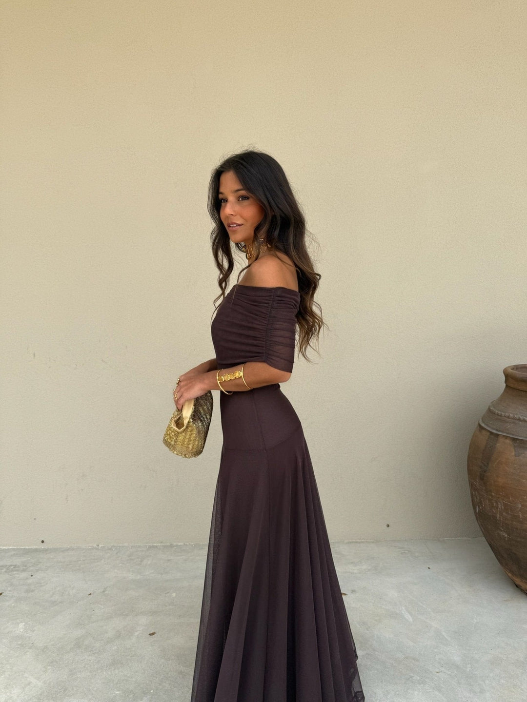 Daniella | Mesh Maxi Dress