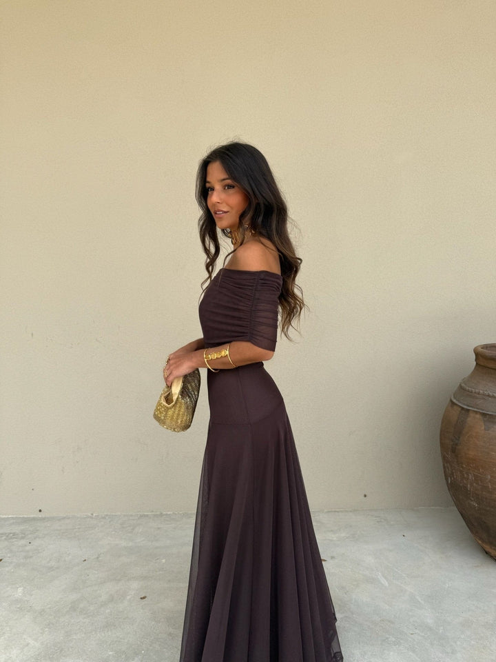 Daniella | Mesh Maxi Dress